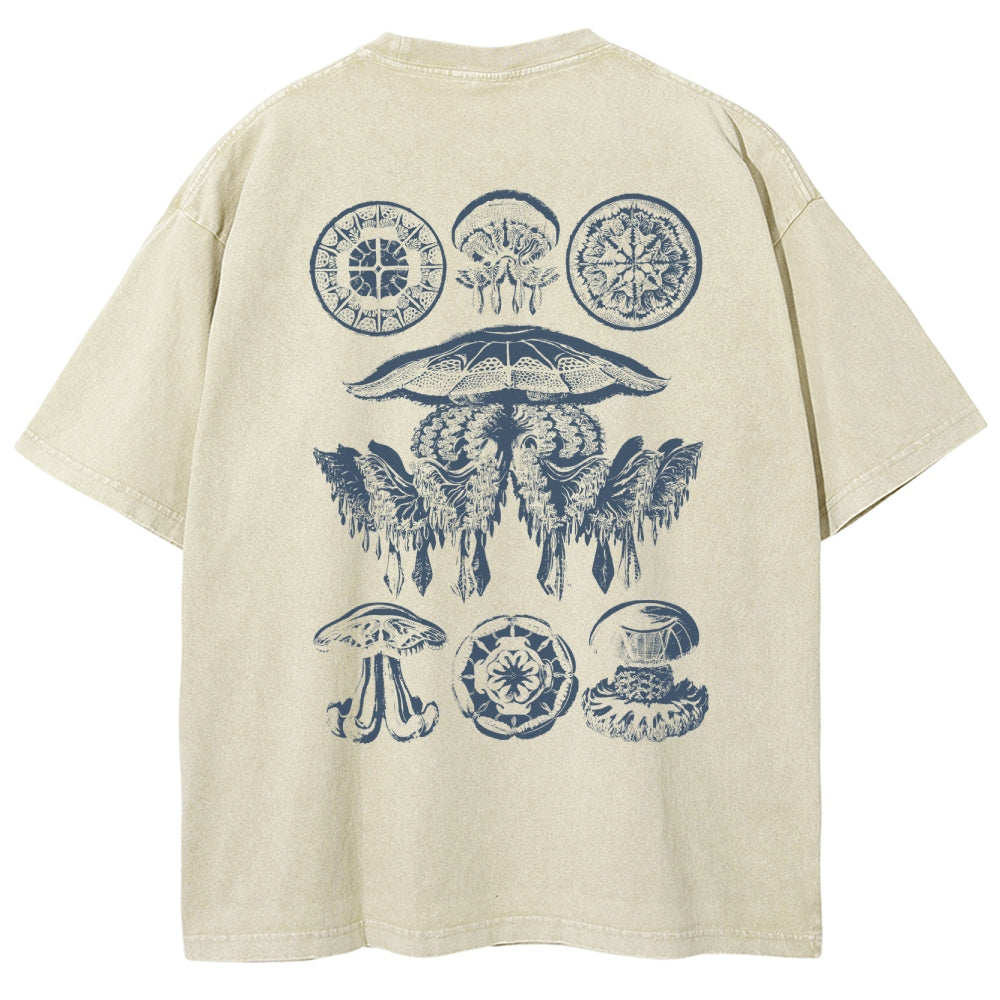 https://custom.jomalls.com/shengchengtu/xiaoguotu/20260215/1771165436043dpULX86U5vpabMwo.jpg