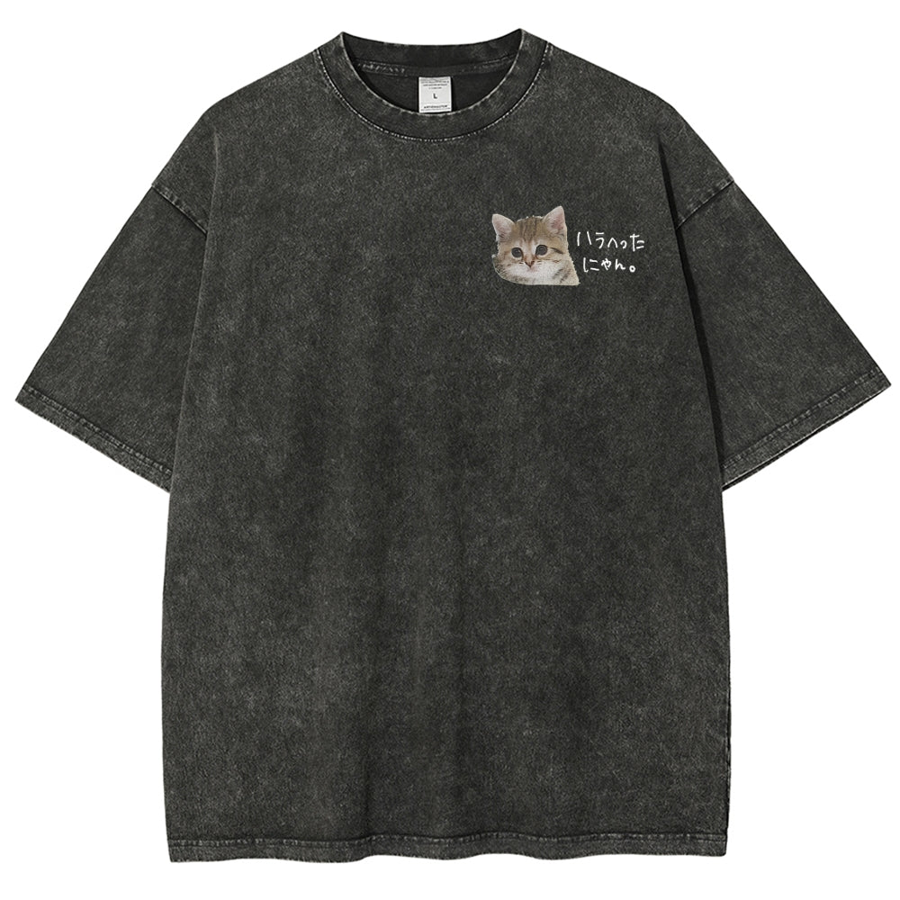 https://custom.jomalls.com/shengchengtu/xiaoguotu/20260512/1778586967417bTWBLDm3Mr5lSUOB.jpg