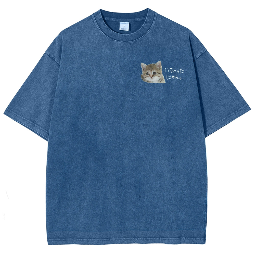 https://custom.jomalls.com/shengchengtu/xiaoguotu/20260512/1778586967485B6d5nMu1TAgWPgbv.jpg