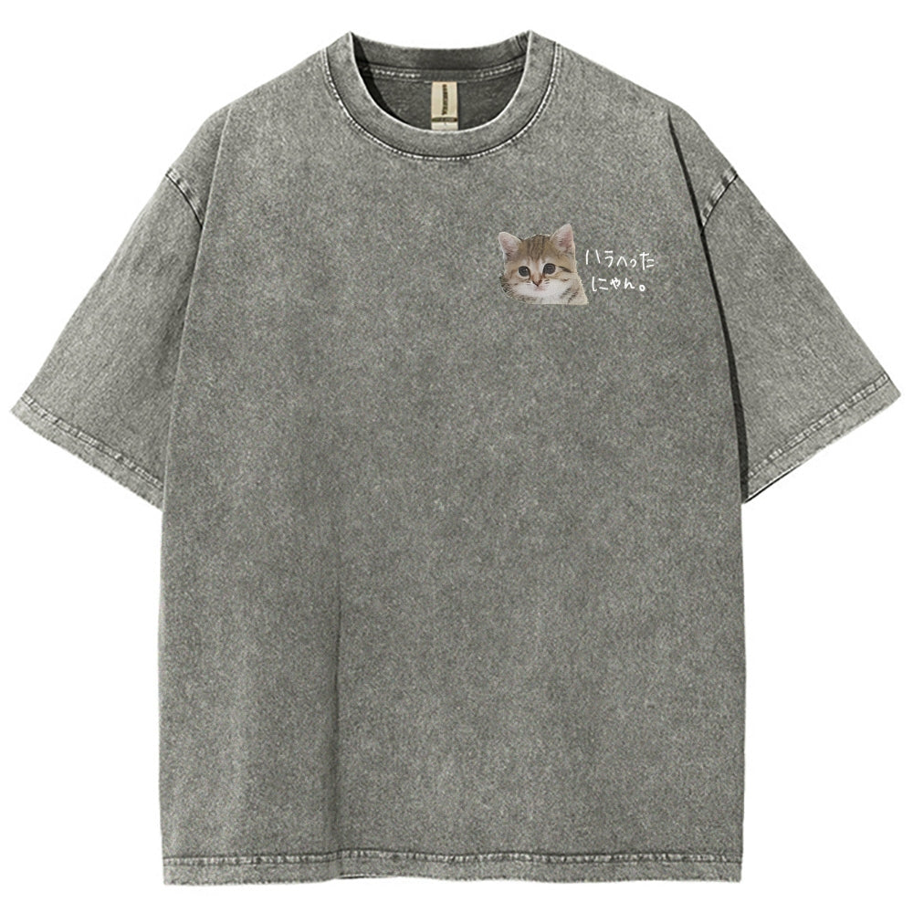 https://custom.jomalls.com/shengchengtu/xiaoguotu/20260512/1778586967606Cb8mEft4ENe4TQSm.jpg