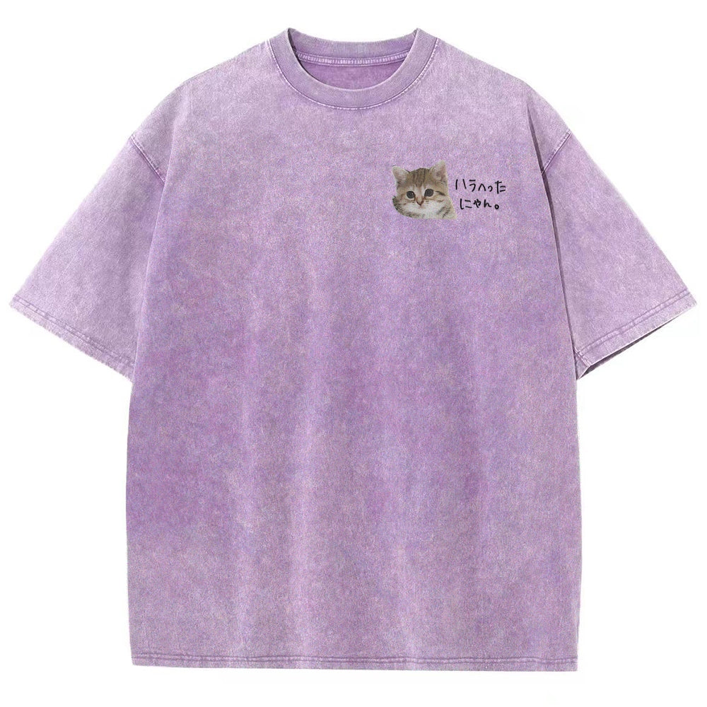 https://custom.jomalls.com/shengchengtu/xiaoguotu/20260512/17785869677227SDewWWIL2zL9iyz.jpg