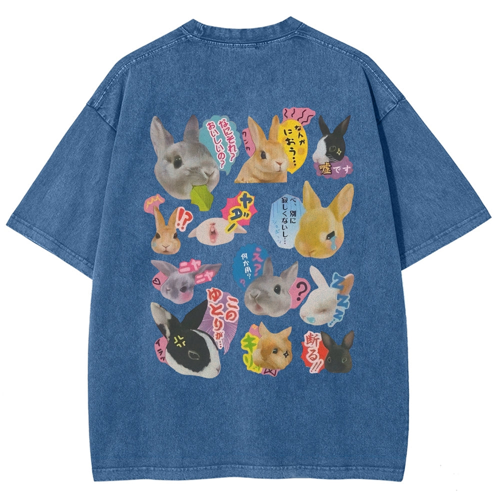 Rabbit Paradise Washed T-Shirt