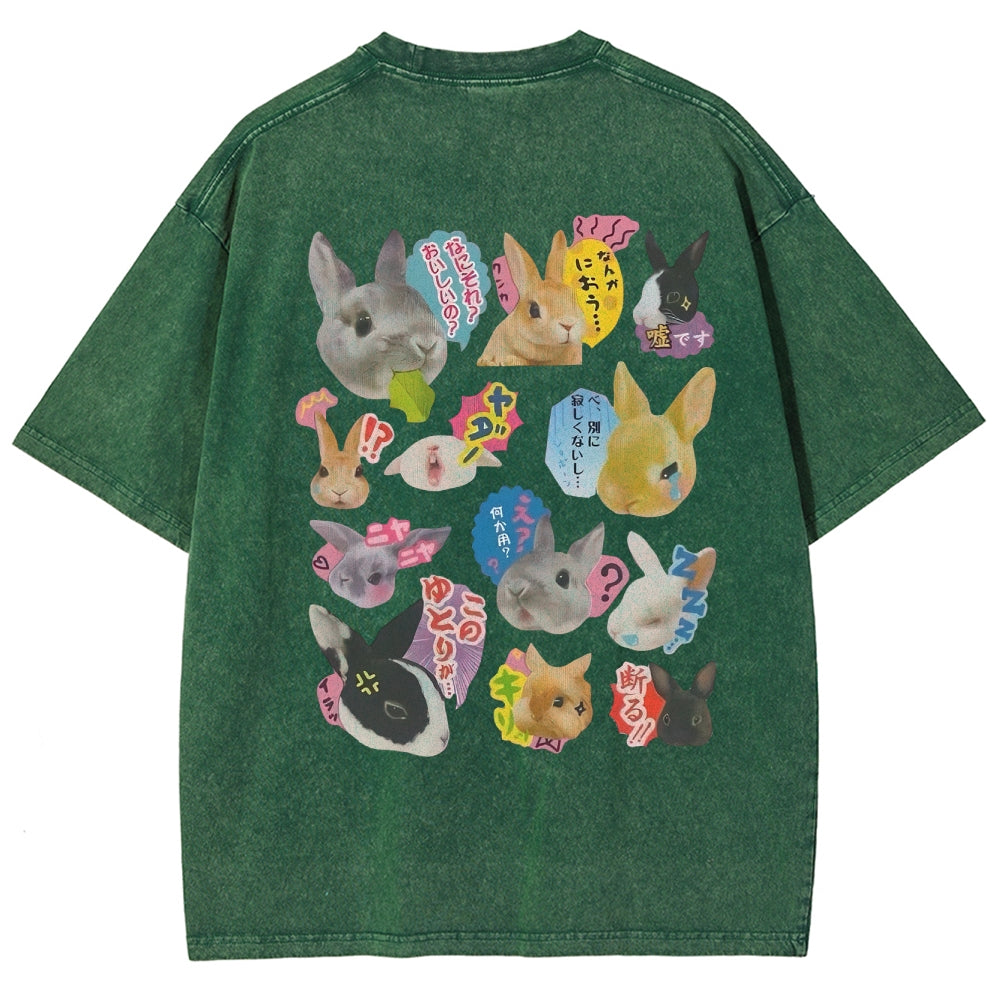 Rabbit Paradise Washed T-Shirt