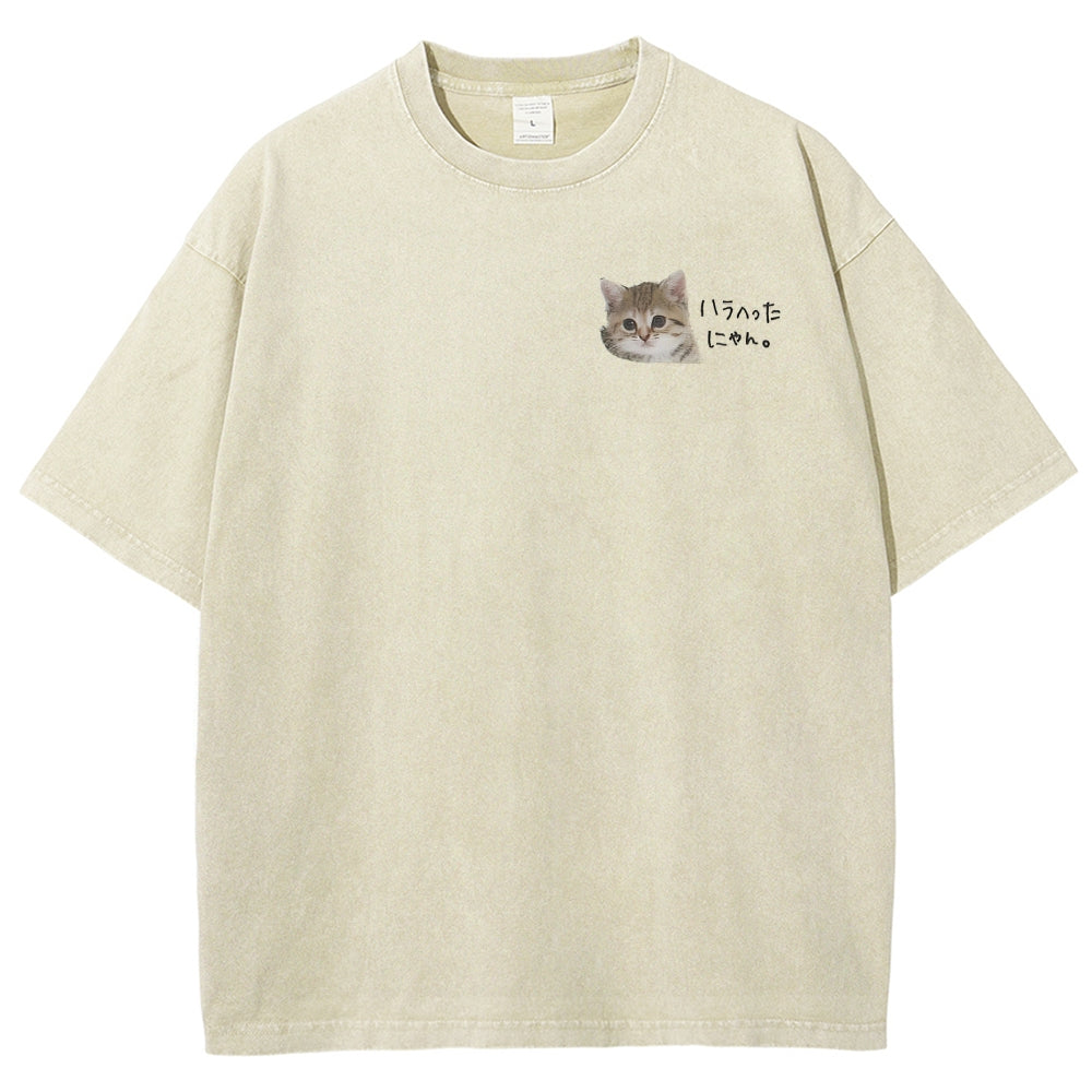 https://custom.jomalls.com/shengchengtu/xiaoguotu/20260512/1778586967445nJwM8FNnJezeO0WU.jpg