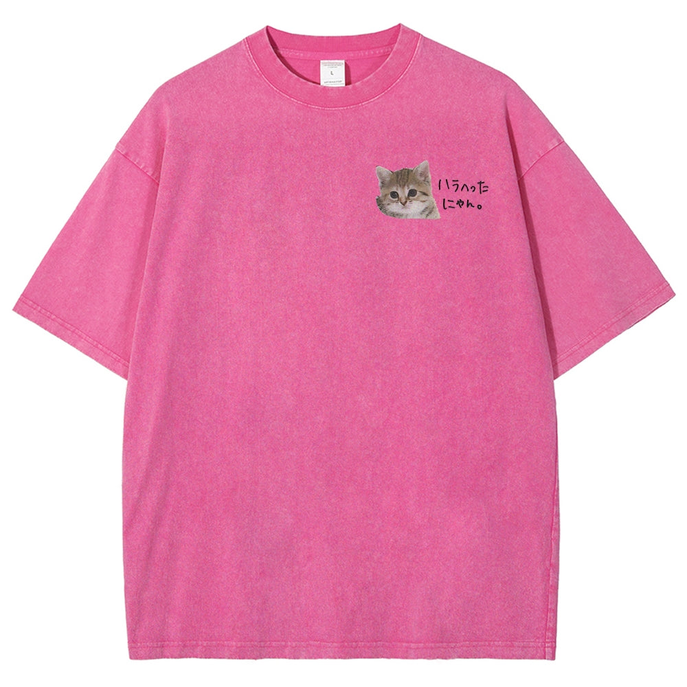 https://custom.jomalls.com/shengchengtu/xiaoguotu/20260512/1778586967604vSHTtl2Lo6aXs9c0.jpg