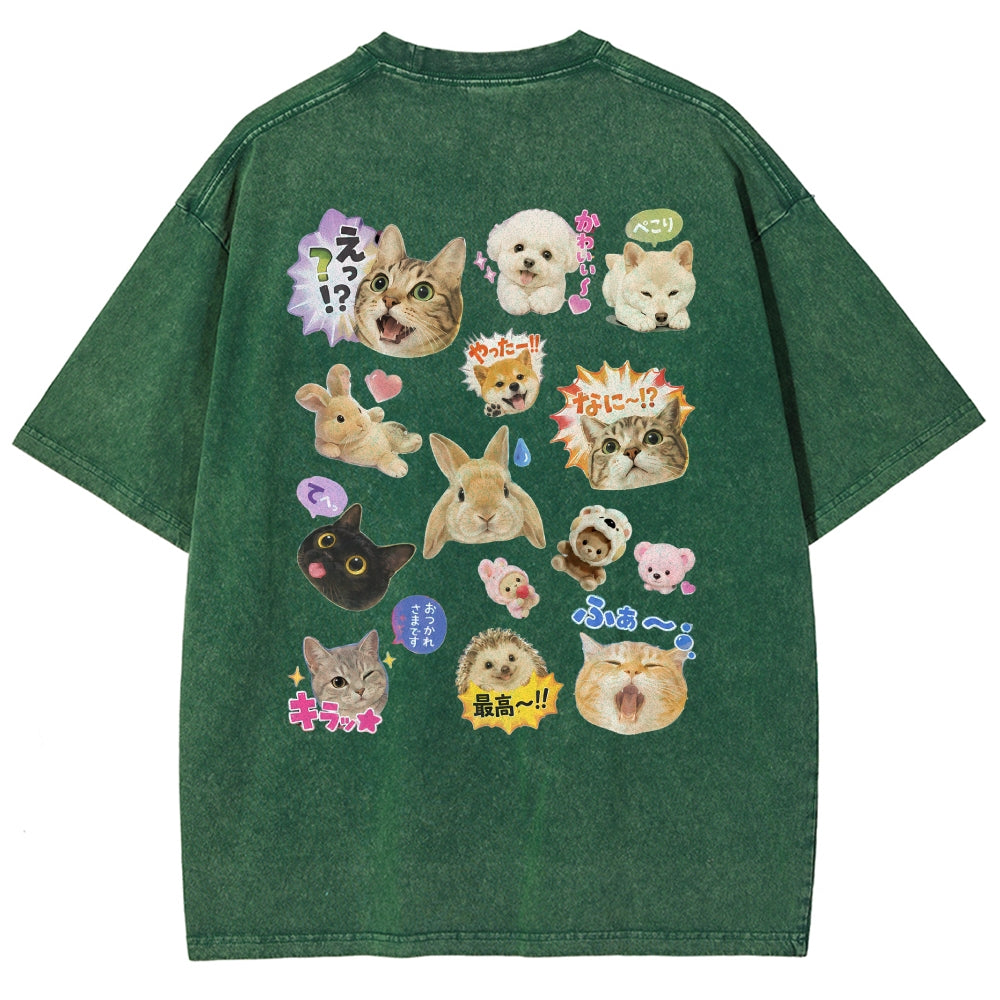 https://custom.jomalls.com/shengchengtu/xiaoguotu/20260602/1780407404820zIEr1nWqa7G3HWL3.jpg