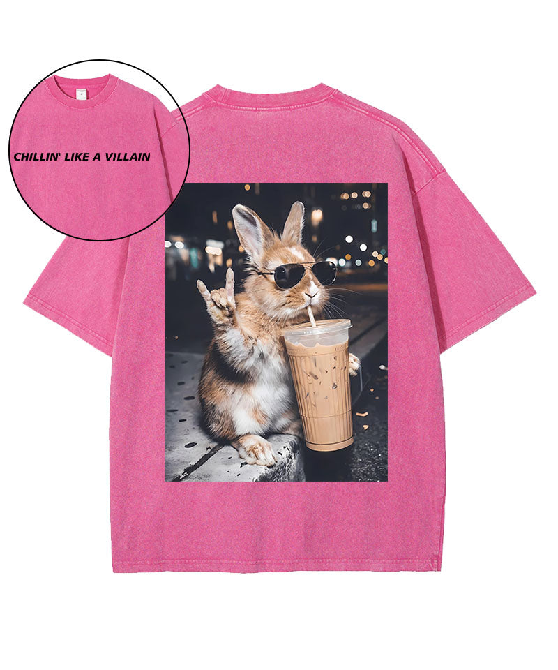 Chillin Like A Villain Washed T-Shirt